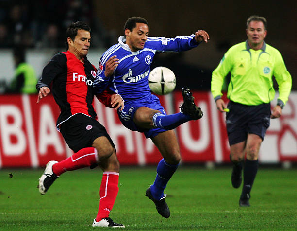 场观众展示 场观众展示