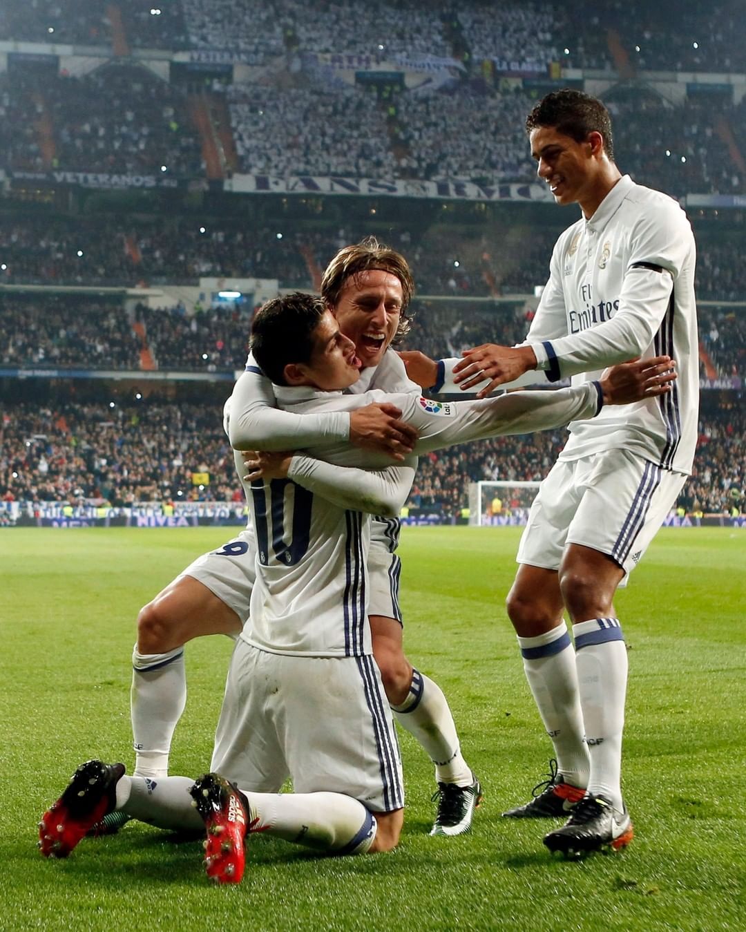 年F1新赛 年F1新赛